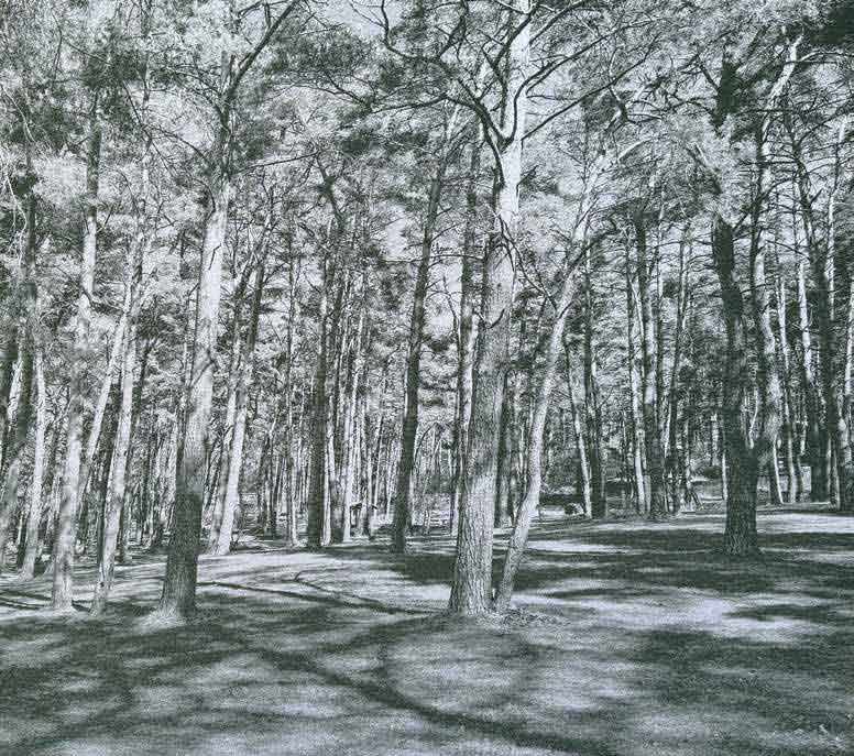 Sonja Weber, Lichtstimmung am Gnitz