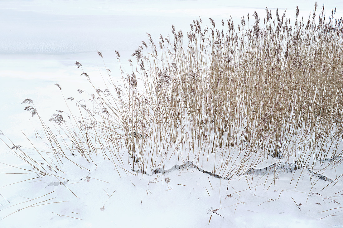 Peter Rathmann, Gebrochenes Eis